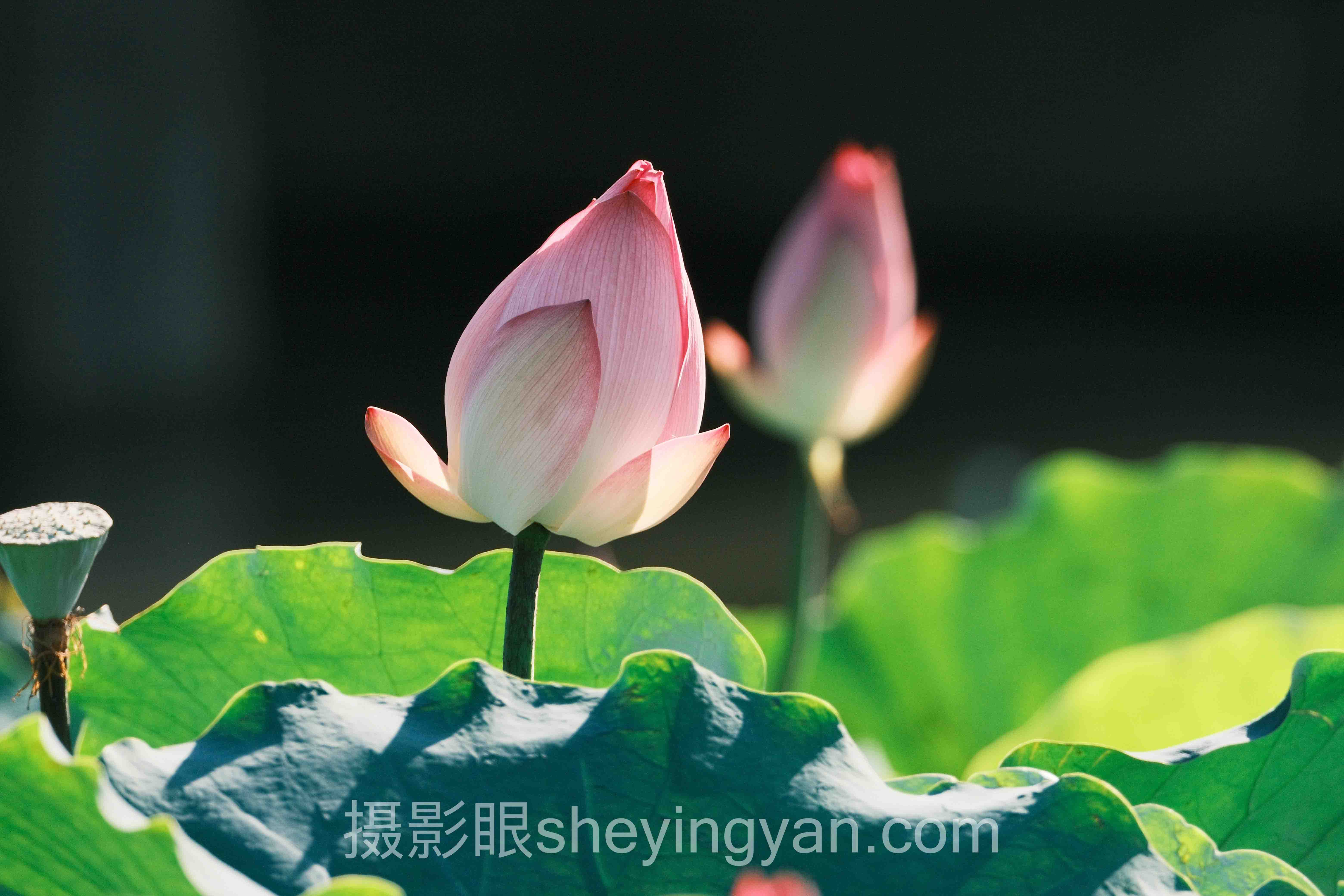 摄影风格对比实战案例拆解：3个成功实践的共同规律