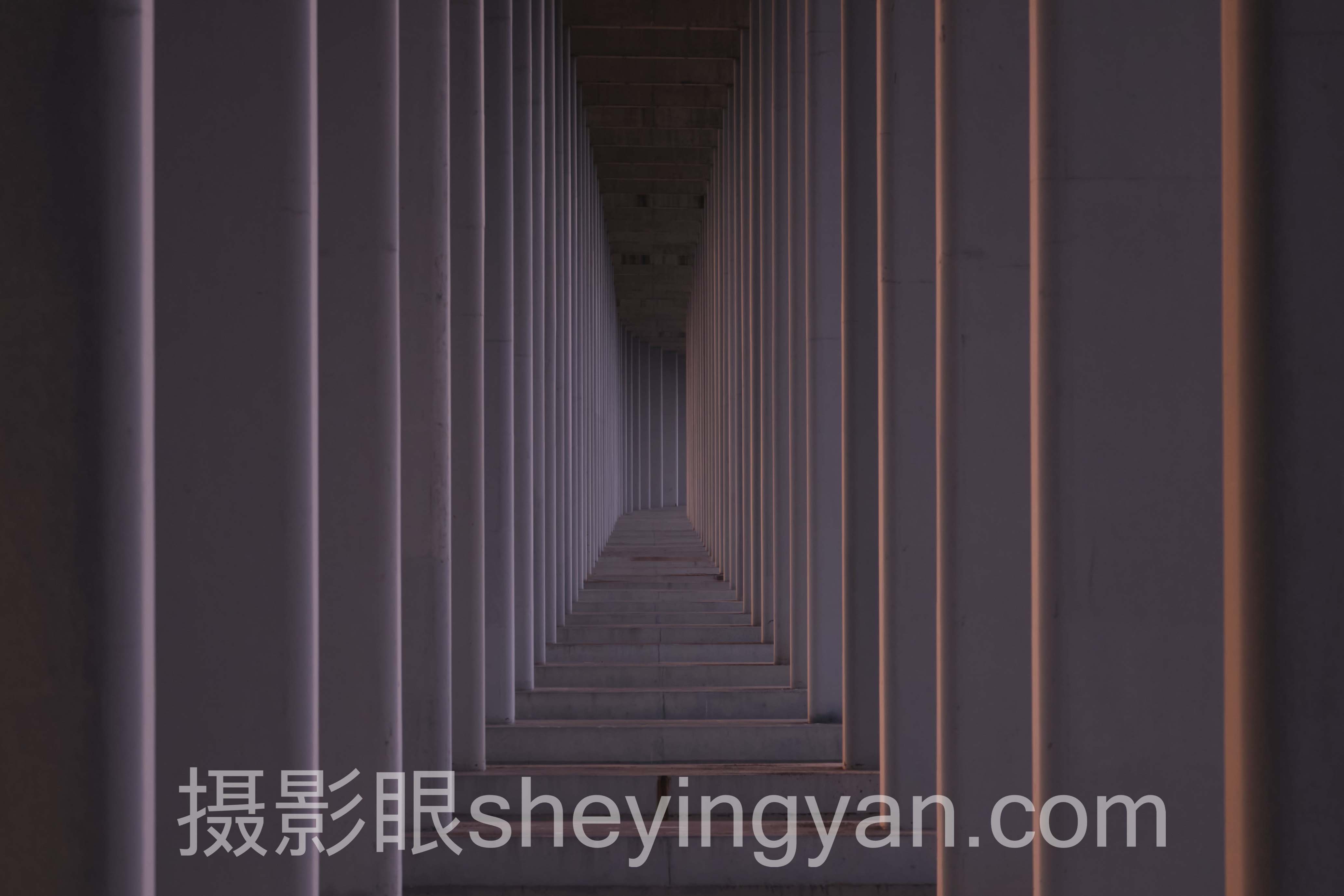 水下摄影行业数据全景:6组数据揭示真相