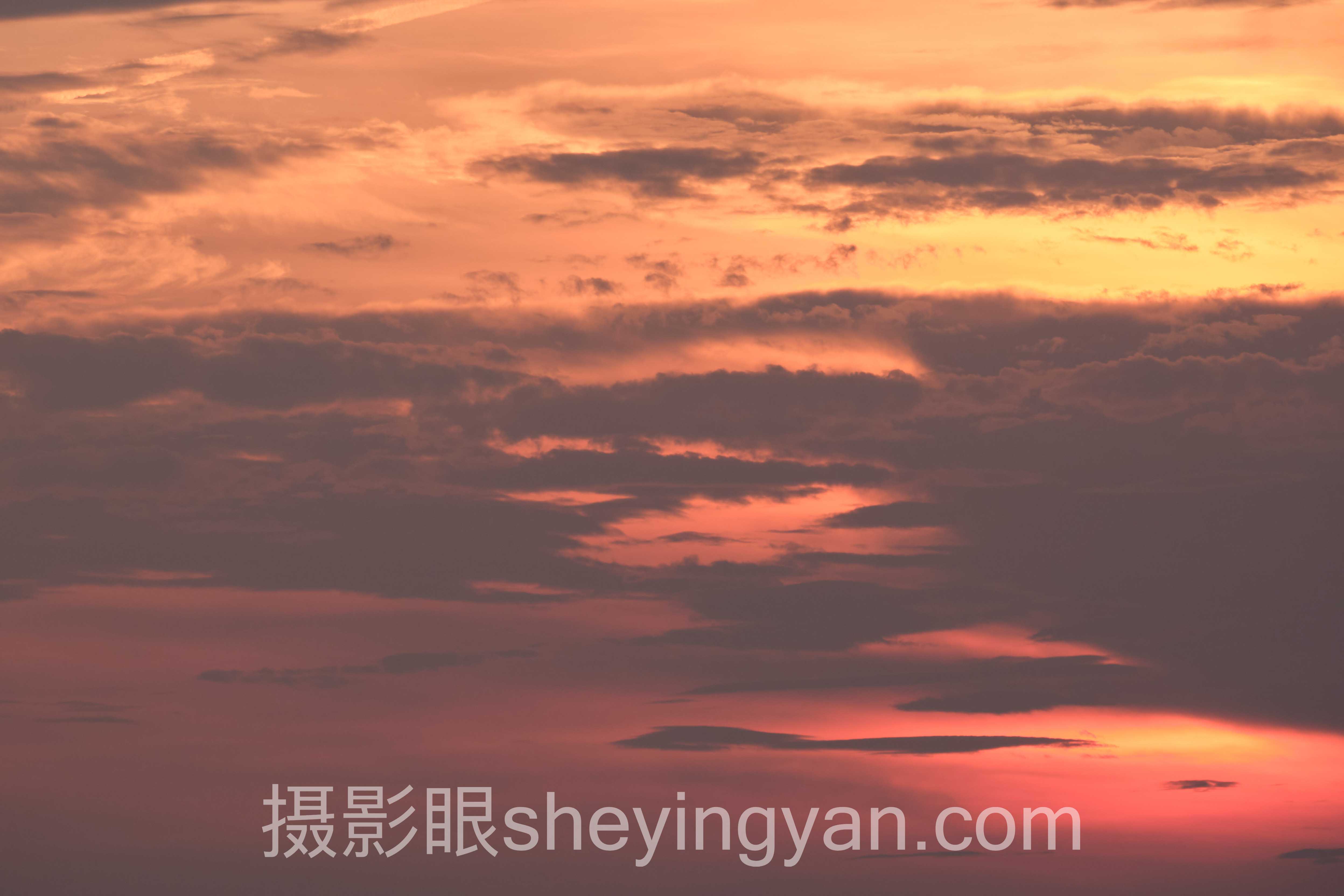 专家深度解读：视觉中国签约费用多少？机遇与挑战全解析