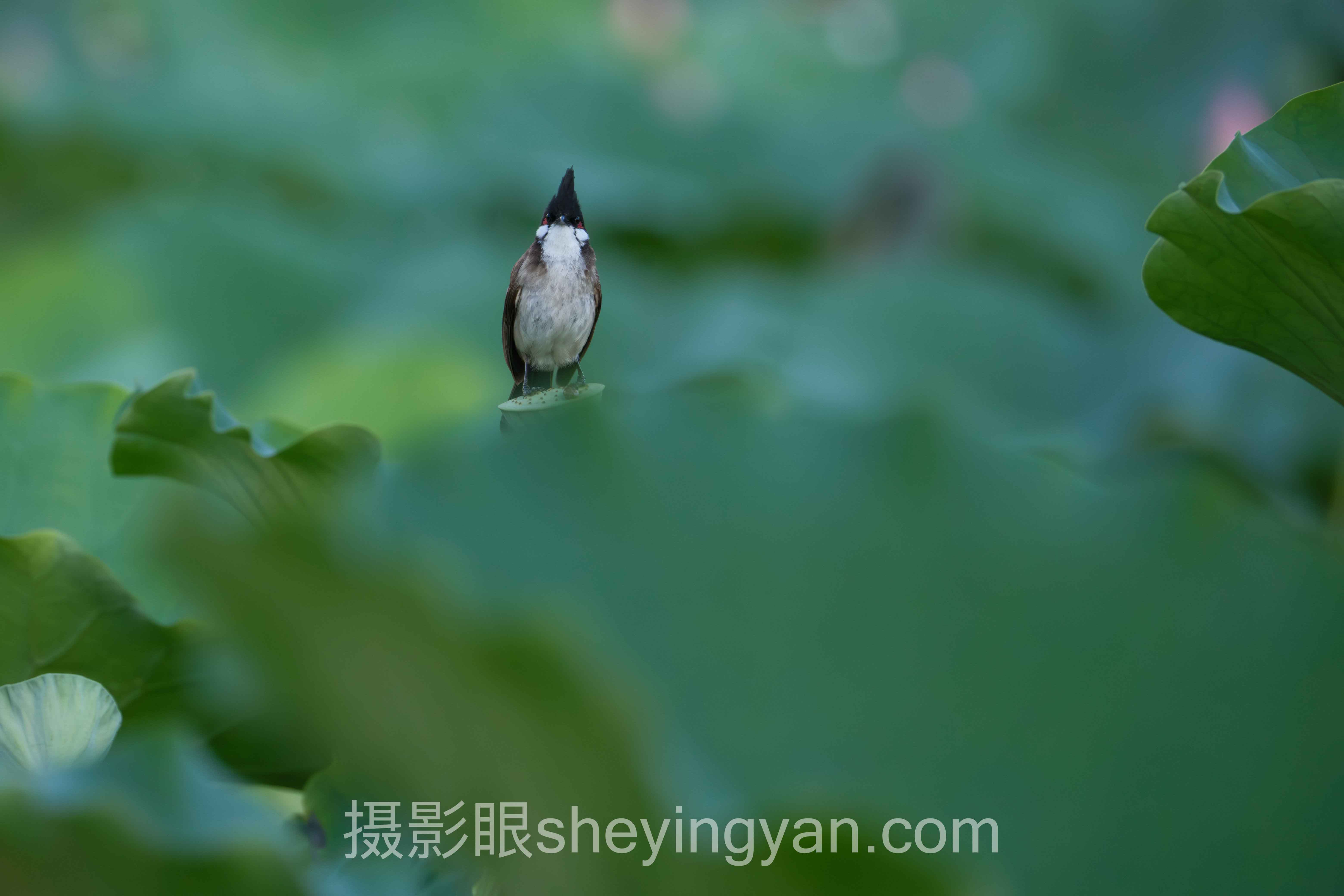 摄影新手快速提升避坑指南：7个关键要点全梳理