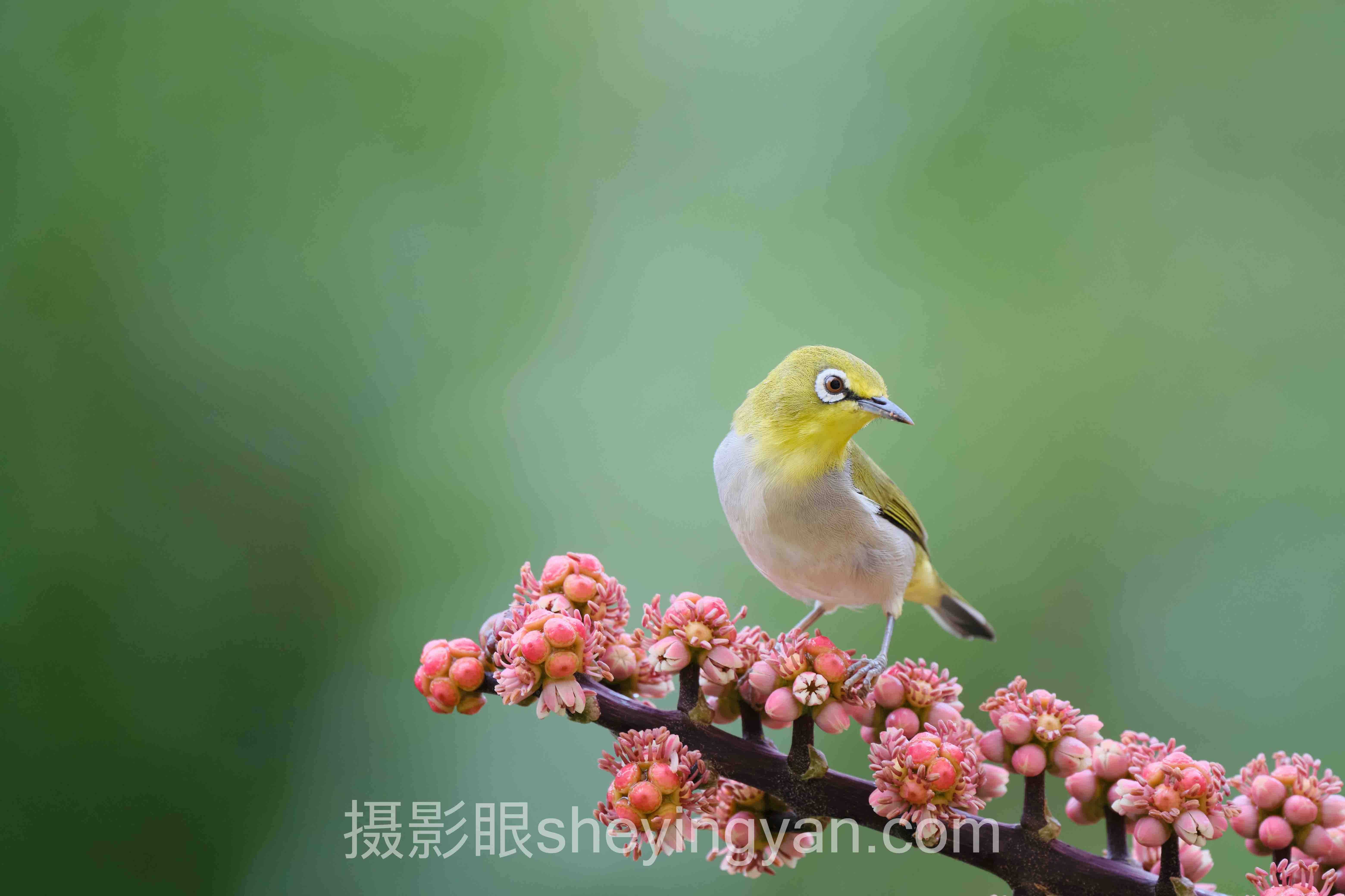 摄影比赛值得参加吗实战案例拆解：3个成功实践的共同规律
