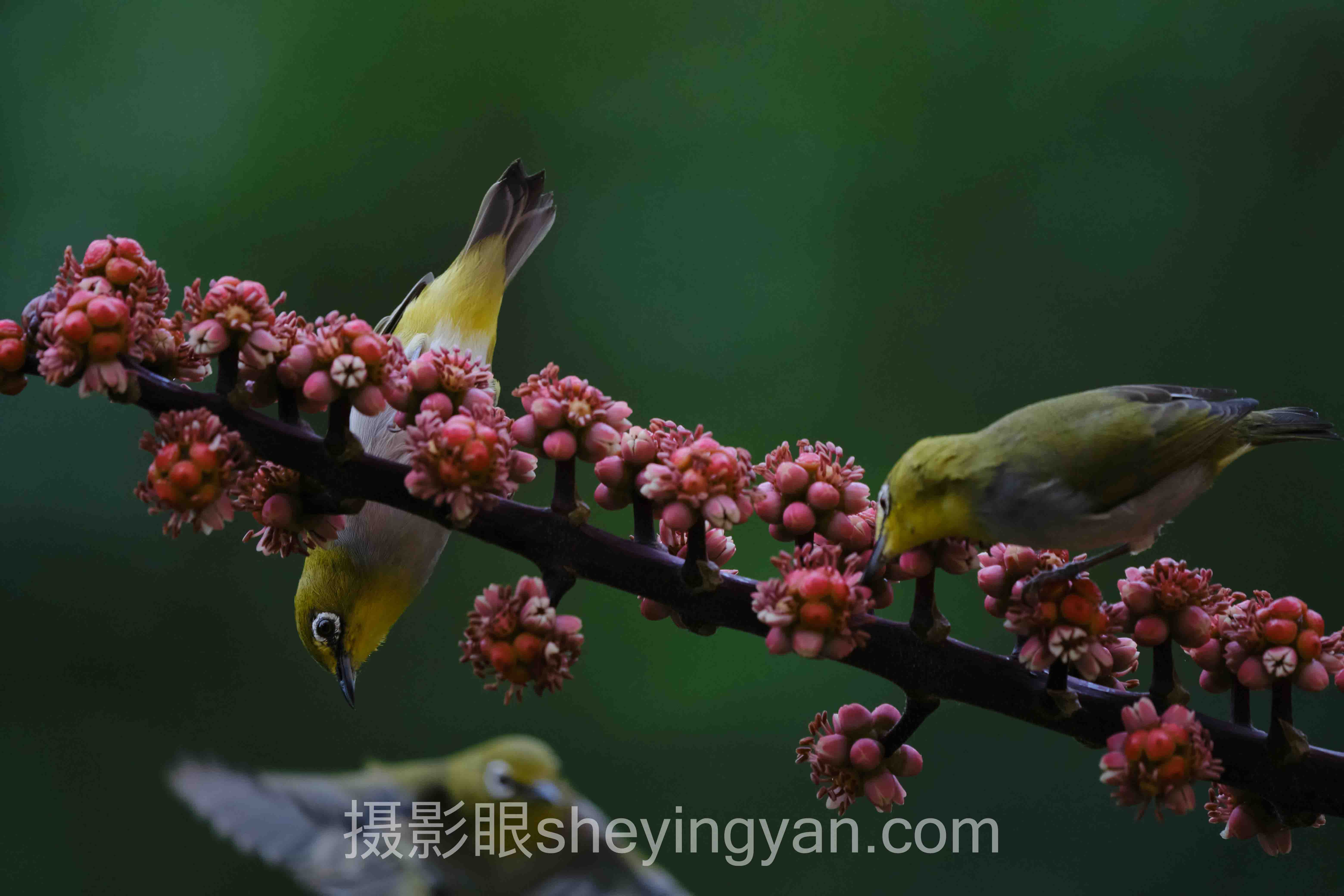 北京摄影新手怎么进步班全景解读：问题根源与破局之道