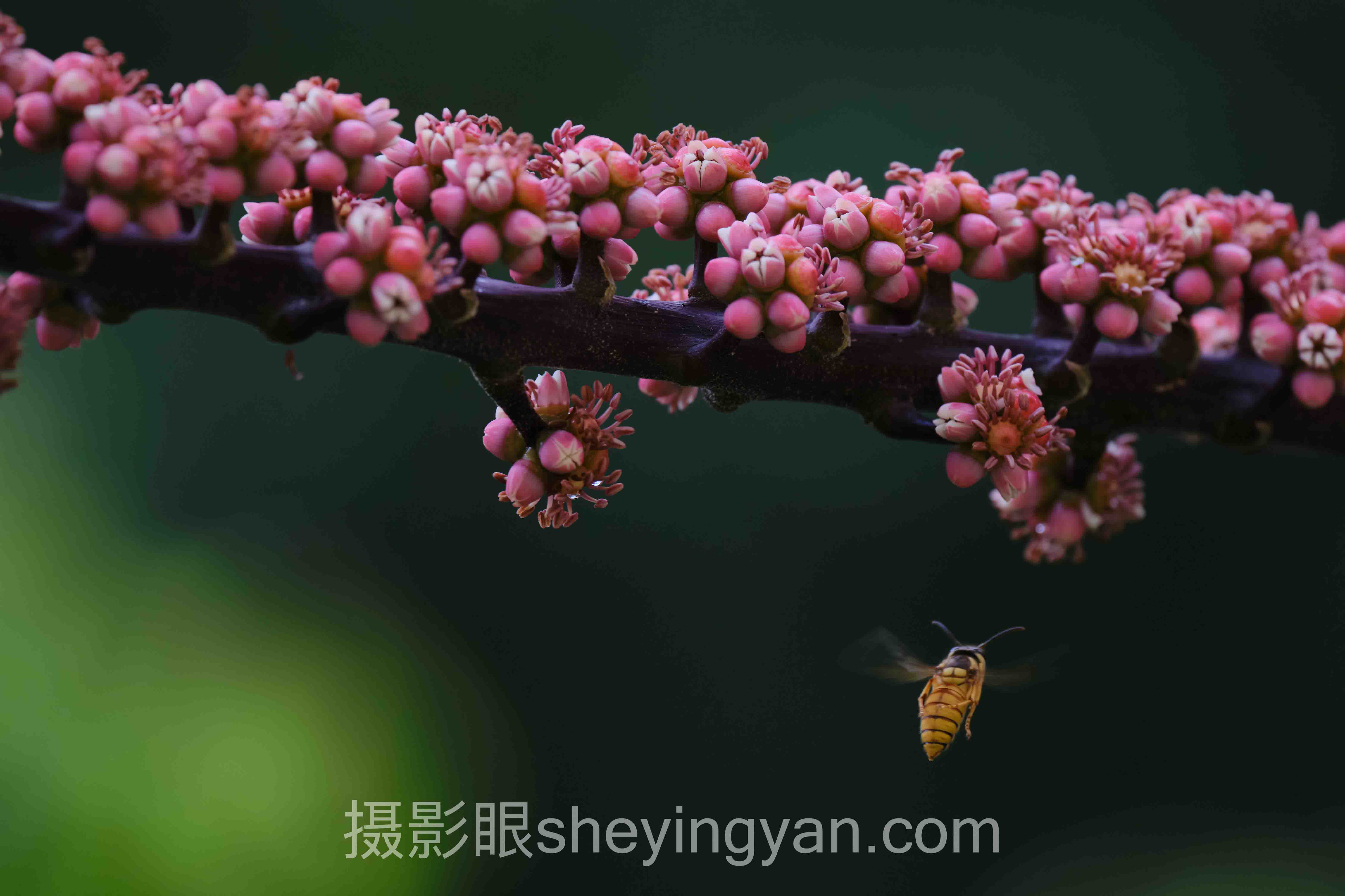 深度解析：照片为什么拍不出感觉的核心问题与答案